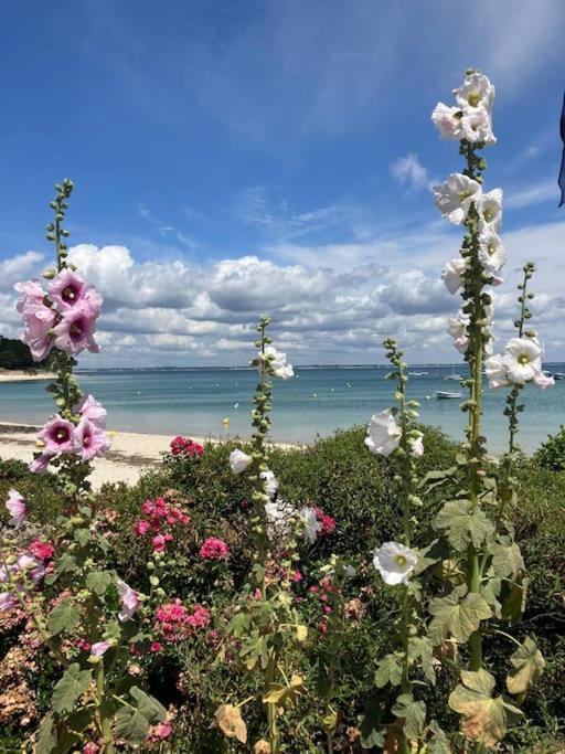 Appartement Belles Vacances 基伯龙 外观 照片